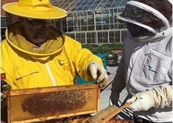 Gonzaga Becomes State's First Certified ‘Bee Campus USA’