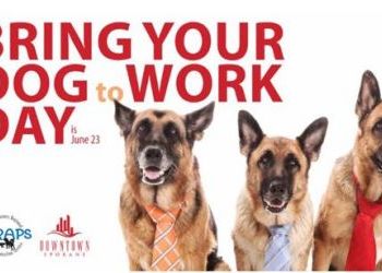 DSP and SCRAPS partner for bring your dog to work day - June 23