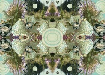Saranac Art Projects August Exhibition