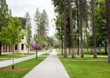 Whitworth University Board of Trustees Elects Two New Members 
