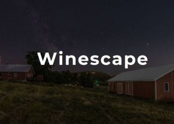 WSU Spokane professors create winery, escape