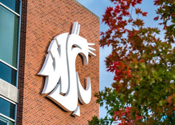 WSU College of Nursing continues to gain NIH research funding