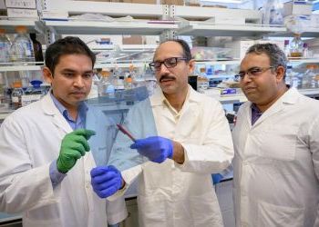 Potential Target Discovered for Gout Treatment by WSU Pharmacy Researchers 